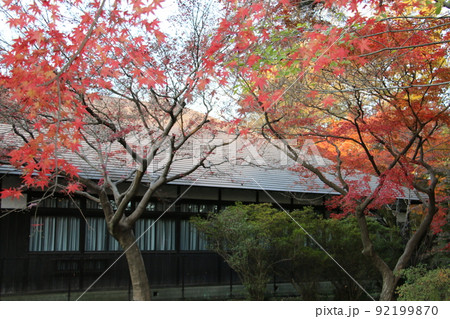 紅葉が美しい秋の浴恩館 紅葉が美しい秋の浴恩館 92199870