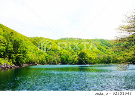 初夏の豊似湖　北海道 92201942