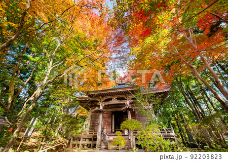 岩手県平泉町 紅葉の中尊寺　～旧鐘楼～ 92203823