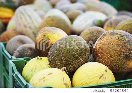 melons of different types sold in grocery store melons of different types sold in grocery store 92204344