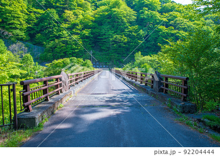 渡仙橋 ブノウ沢 奥四万湖 新緑の季節 渡仙橋 ブノウ沢 奥四万湖 新緑の季節 92204444