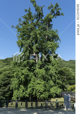 龍門寺 京畿道 キョンギド 92204696