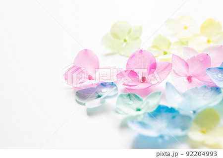 パステルカラーの花 背景素材 パステルカラーの花 背景素材 92204993