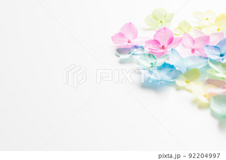 パステルカラーの花　背景素材 92204997