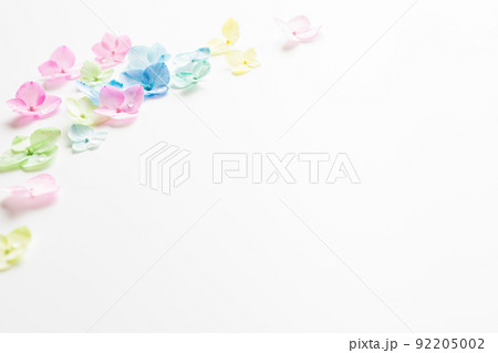 パステルカラーの花　背景素材 92205002