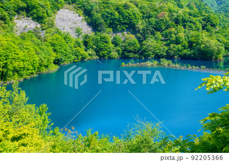 奥四万湖 四万ブルー せせらぎ公園展望台からの眺め 新緑の季節 奥四万湖 四万ブルー せせらぎ公園展望台からの眺め 新緑の季節 92205366