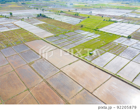Aerial view of the terraces rice field before cultivation season in Chiang Rai the Northern province of Thailand. 92205879