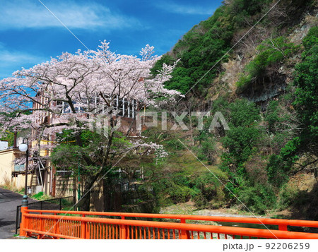 三重県津市榊原町 桜満開の榊原川と貝石山 三重県津市榊原町 桜満開の榊原川と貝石山 92206259