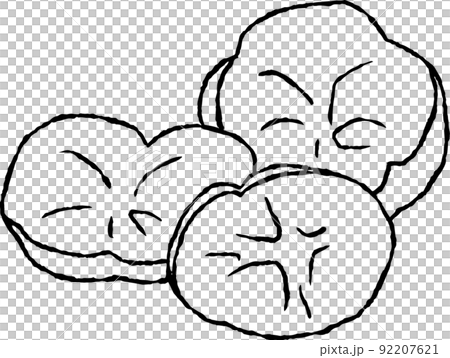 Chrysanthemum Chrysanthemum 92207621