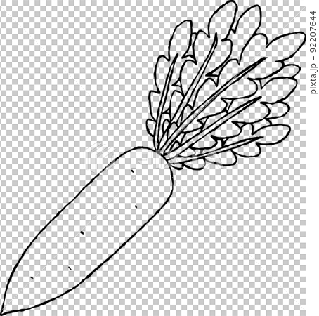 日本蘿蔔 92207644