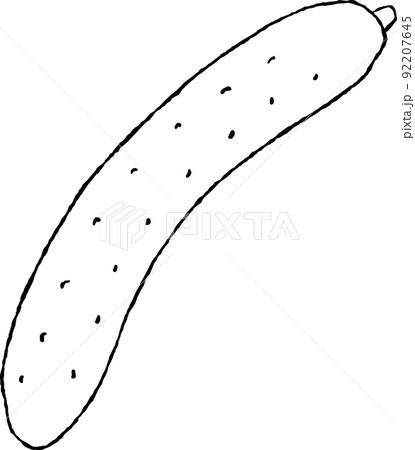 キュウリ 92207645