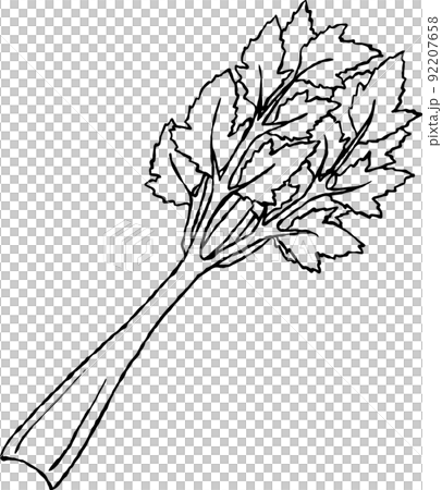 celery celery 92207658