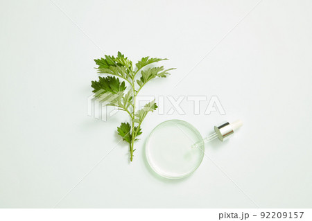 mugwort decorated with petri dish and glassware , top view , nature plant for benefit of health , white background for health advertising mugwort decorated with petri dish and glassware , top view , nature plant for benefit of health , white background for health advertising 92209157