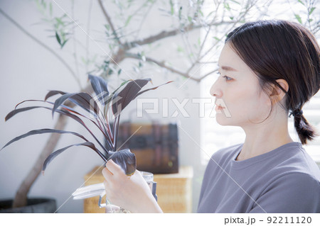 明るい植物のある窓辺で観葉植物に水やりする日本人女性 明るい植物のある窓辺で観葉植物に水やりする日本人女性 92211120