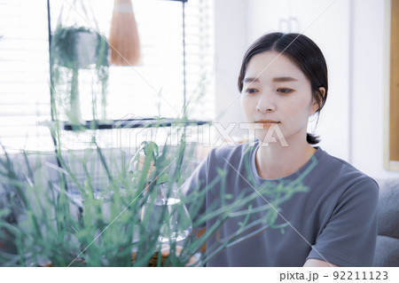 明るい植物のある窓辺で観葉植物に水やりする日本人女性 92211123