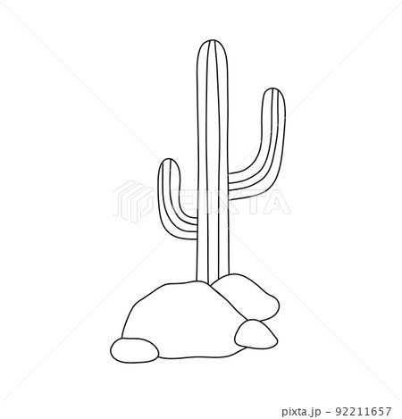 Cactus Drawing Image  Drawing Skill