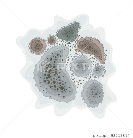 Black mold spots on dust white background. Fungus mildew. Vector illustration. Black mold spots on dust white background. Fungus mildew. Vector illustration. 92212314