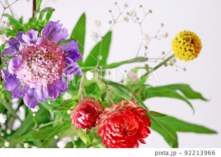 ナチュラルな草花の花束 ボタニカルフレーム 室内撮り ナチュラルな草花の花束 ボタニカルフレーム 室内撮り 92213966