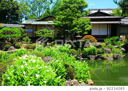 初夏の両足院　半夏生咲く庭園 92214265