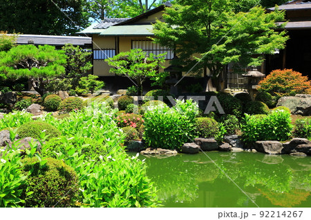 初夏の両足院 半夏生咲く庭園 初夏の両足院 半夏生咲く庭園 92214267
