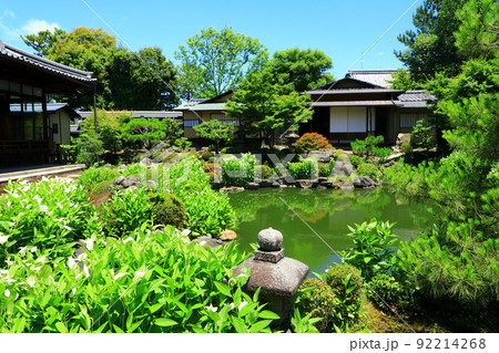初夏の両足院　半夏生咲く庭園 92214268