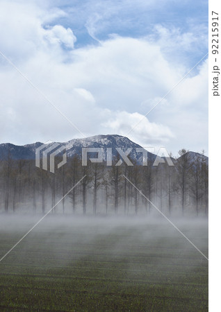 青空の下に広がる地霧（北海道東部） 92215917