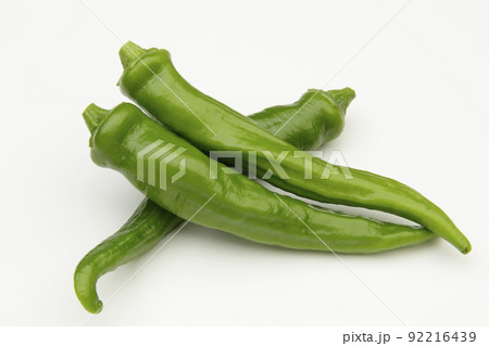 万願寺唐辛子 92216439