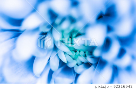 Retro art, vintage card and botanical concept - Abstract floral background, blue chrysanthemum flower. Macro flowers backdrop for holiday brand design Retro art, vintage card and botanical concept - Abstract floral background, blue chrysanthemum flower. Macro flowers backdrop for holiday brand design 92216945