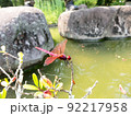 ベニトンボ 2 92217958