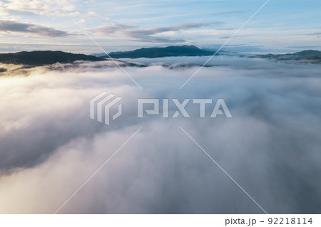 fog and clouds in the morning in the forest 92218114