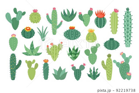 Cactus flowers set. Arizona icons of blossom desert cacti, cute mexican plants collection, prickly succulents and ficuses. Exotic greenery and houseplants. Vector isolated botanical illustration Cactus flowers set. Arizona icons of blossom desert cacti, cute mexican plants collection, prickly succulents and ficuses. Exotic greenery and houseplants. Vector isolated botanical illustration 92219738