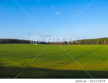 Wonderful green field and forest in the countryside on a sunny day with blue sky 92221679