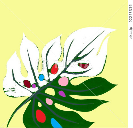 モンステラ 斑入り CGイラスト3 92223336
