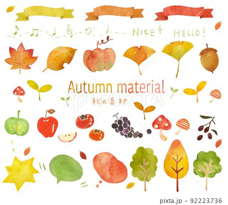 秋の葉っぱや果物、木などの素材ー枠なしおしゃれでシンプルな手描き素材イラストセット 92223736
