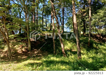 菅谷館跡、本郭周囲の土塁【埼玉県嵐山町】 92225013