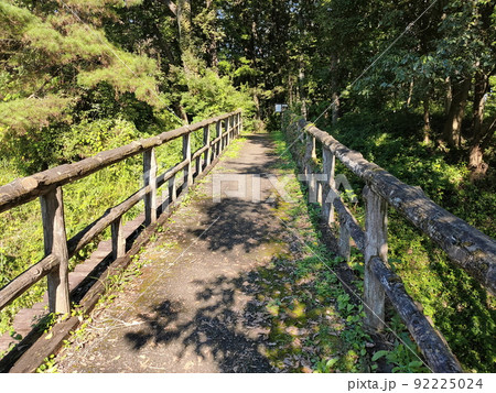 菅谷館跡、西ノ郭跡の復元木橋【埼玉県嵐山町】 菅谷館跡、西ノ郭跡の復元木橋【埼玉県嵐山町】 92225024