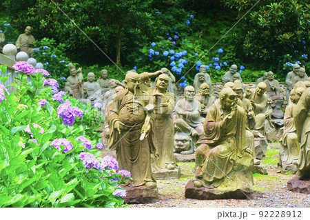 羅漢像と紫陽花 92228912