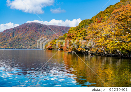 青森県　紅葉に染まる十和田湖 92230401