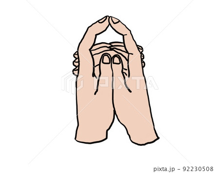 色つきの虚空蔵三昧三昧耶印 92230508