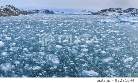 Drift floating Ice, Albert I Land, Norway 92231644