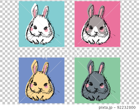 Rabbit variation 92232800