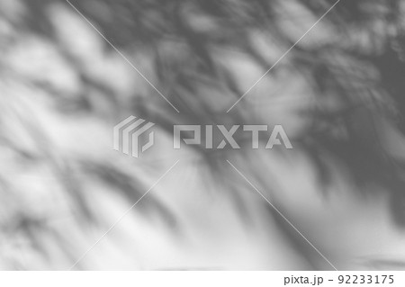 Shadow overlay effect. Blur shadows of plants and tree leaves on a white clean wall. Shadow overlay effect. Blur shadows of plants and tree leaves on a white clean wall. 92233175
