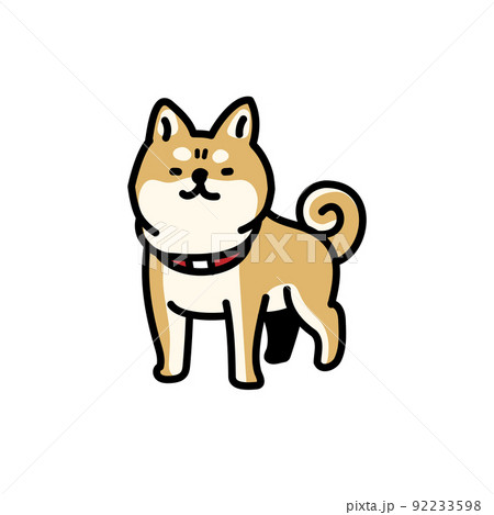 Amazon.co.jp: [サモエスキー] しばいぬ 柴犬 不機嫌 しばけん