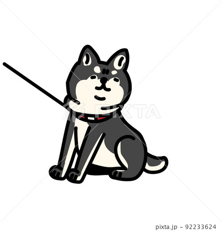 散歩を続けたい柴犬のイラスト 92233624