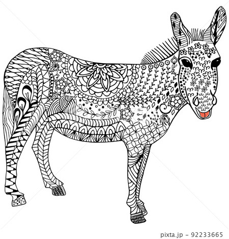 Donkey hand drawing, mule, sketch 92233665