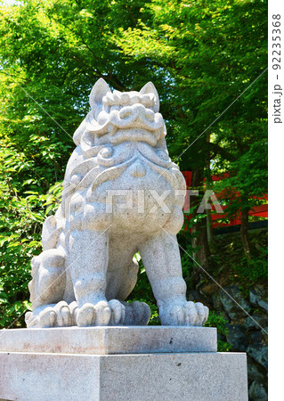 京都 建勲神社の狛犬 92235368