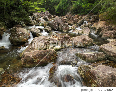 高知県四万十市　黒尊渓谷の風景 92237662