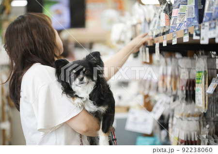 ペットショップで商品を選ぶ飼い主とその抱っこされるブラックタンのロングコートチワワ  92238060