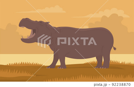 Large adult hippo on the river bank 92238870