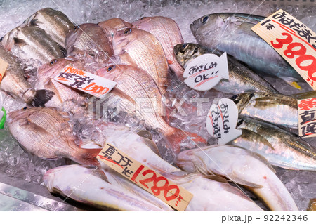 神奈川県三浦市三崎漁港 鮮魚店 神奈川県三浦市三崎漁港 鮮魚店 92242346
